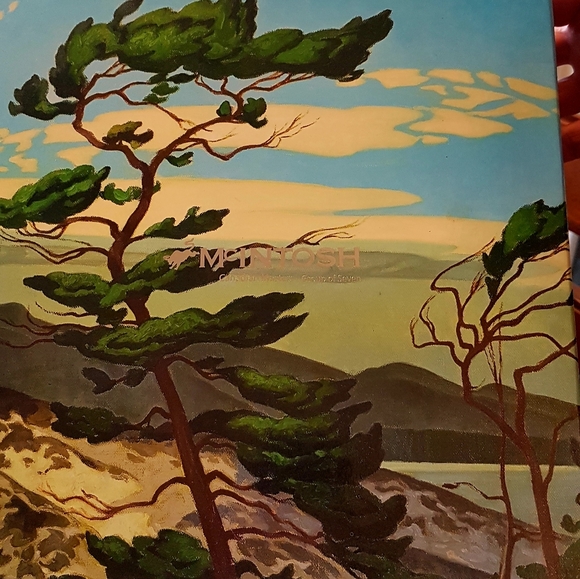 McIntosh set of mugs - Picture 3 of 3